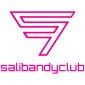 Salibandyclub