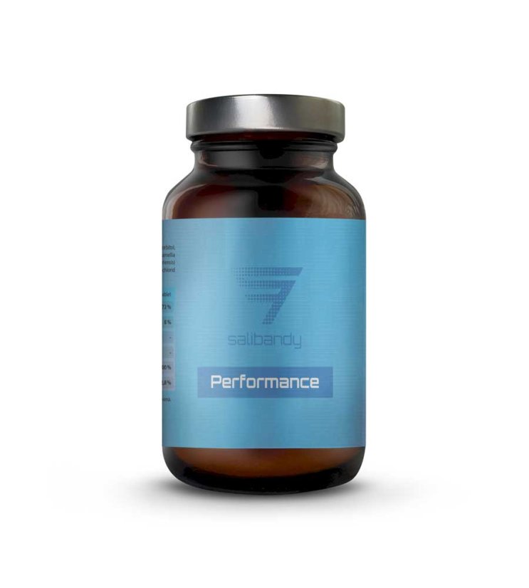 Performance